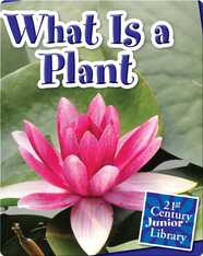What is a Plant?