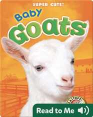 Super Cute! Baby Goats