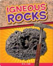 Igneous Rocks