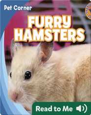 Furry Hamsters