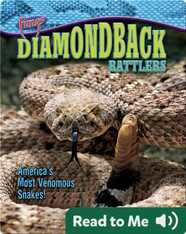 Diamondback Rattlers: America's Most Venomous Snakes!
