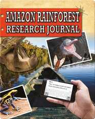 Amazon Rainforest Research Journal