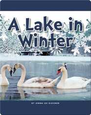 A Lake in Winter