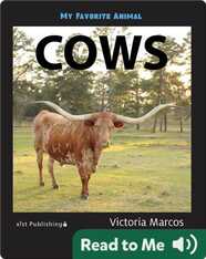 My Favorite Animal: Cows
