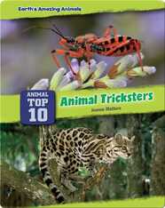 Top Ten Animal Tricksters