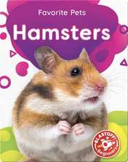 Favorite Pets: Hamsters