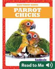 Rain Forest Babies: Parrot Chicks