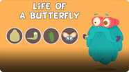 The Dr. Binocs Show: Life of a Butterfly