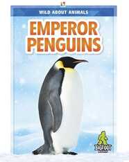 Wild About Animals: Emperor Penguins