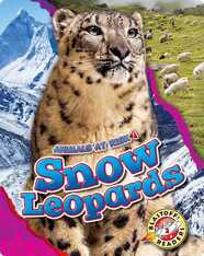 Animals at Risk: Snow Leopards