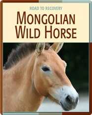 Road To Recovery: Mongolian Wild Horse