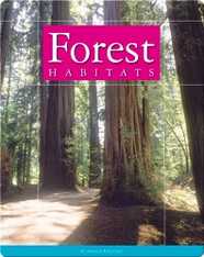 Forest Habitats