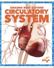 Amazing Body Systems: Circulatory System