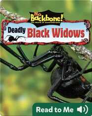 Deadly Black Widows