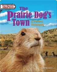 The Prairie Dog's Town: A Perfect Hideaway
