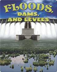 Floods, Dams, and Levees