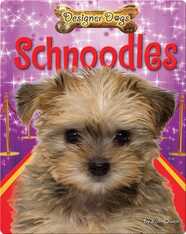 Schnoodles