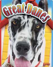 Great Danes