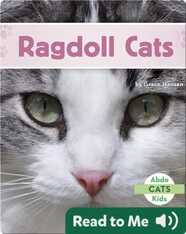 Ragdoll Cats