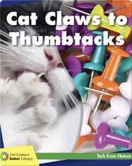 Cat Claws to Thumbtacks