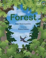 See to Learn: Forest
