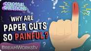Why Do Paper Cuts Hurt So Much? | COLOSSAL QUESTIONS