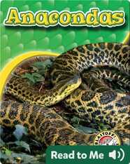 Anacondas: Snakes Alive