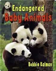 Endangered Baby Animals