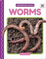 Underground Animals: Worms