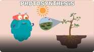 The Dr. Binocs Show: Photosynthesis