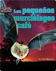 Los pequeños murciélagos café (bats)
