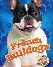 Awesome Dogs: French Bulldogs