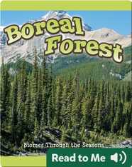 Seasons Of The Boreal Forest Biome