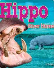 Hippo: River Horse