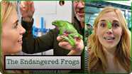 FROG ON MY FACE?! Maddie Meets the Endangered Frogs
