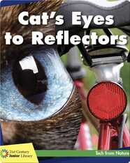 Cat's Eyes to Reflectors