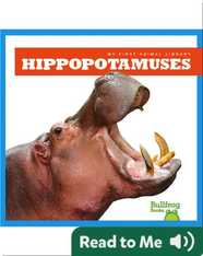 My First Animal Library: Hippopotamuses