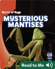 Mysterious Mantises