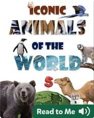 Iconic Animals of the World 5
