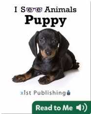 I See Animals: Puppy