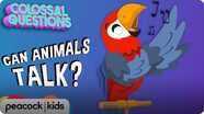 Colossal Questions: Can Animals Talk?