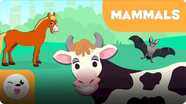 Smile and Learn Animals: Mammals