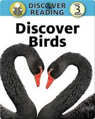 Discover Birds: Level 3 Reader