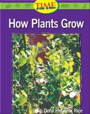 How Plants Grow