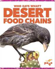 Who Eats What? Desert Food Chains