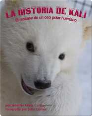 La historia de Kali: El rescate de un oso polar huérfano