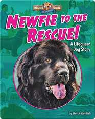 Newfie to the Rescue! A Lifeguard Dog Story