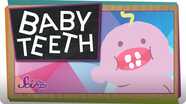 SciShow Kids: Why Do We Have Baby Teeth?