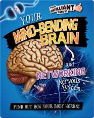 Your Mind-Bending Brain and Networking Nervous System
