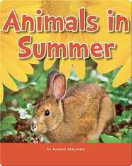 Animals in Summer